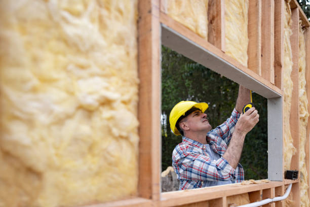 Best Insulation for Existing Homes  in La Paloma, TX